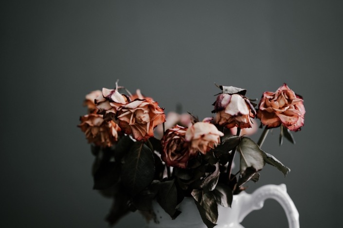 annie-spratt-LsP6HM-ghcg-unsplash